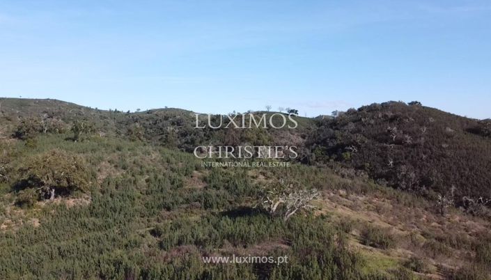 Image No.7-Land for sale