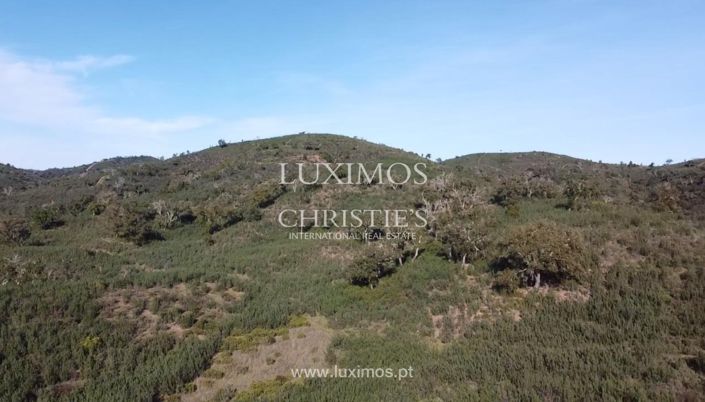 Image No.8-Land for sale