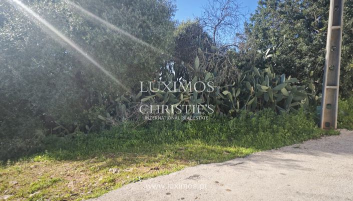 Image No.8-Land for sale