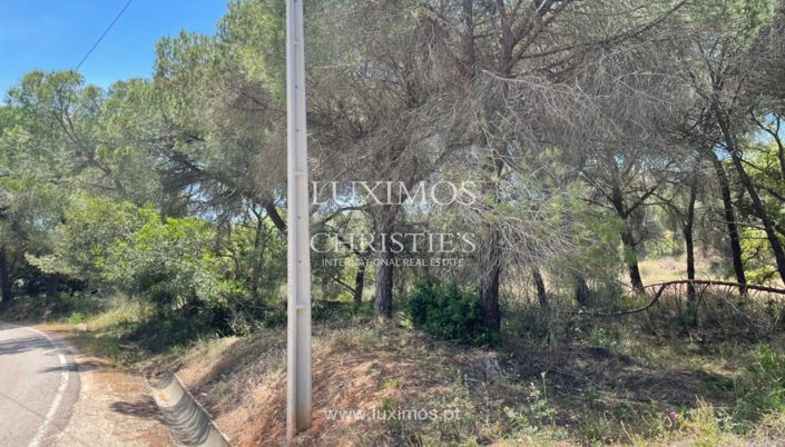 Image No.11-Land for sale