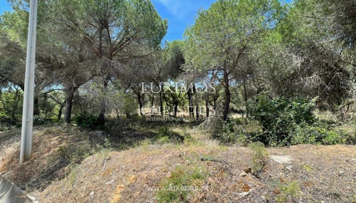 Image No.3-Land for sale