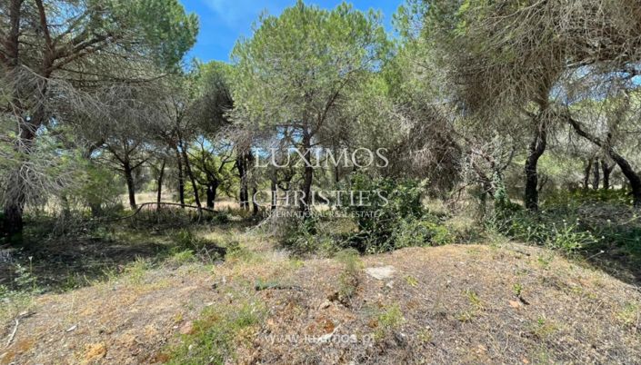 Image No.4-Land for sale