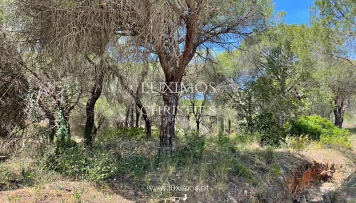 Image No.5-Land for sale