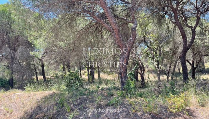 Image No.6-Land for sale