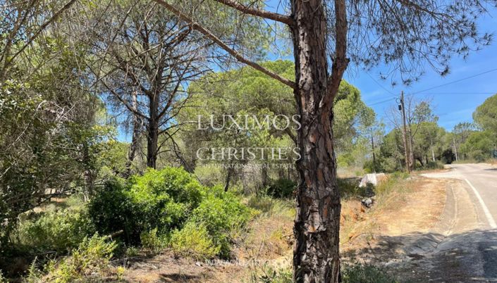 Image No.8-Land for sale