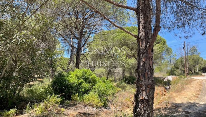 Image No.9-Land for sale