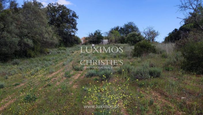 Image No.12-Land for sale