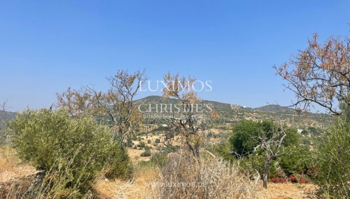 Image No.8-Land for sale