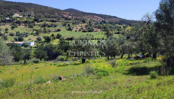 Image No.10-Land for sale