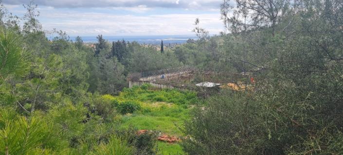 Image No.7-10 Bed Villa for sale