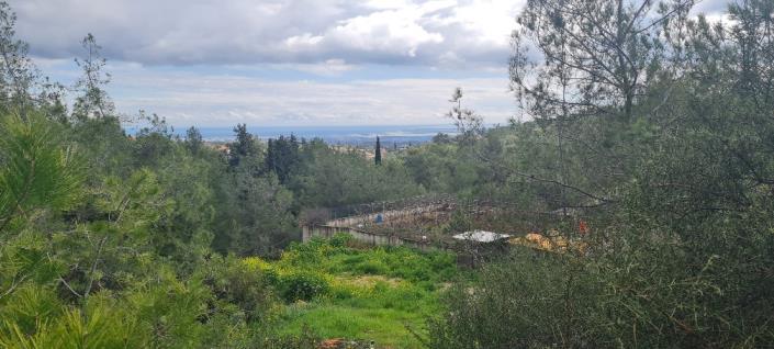 Image No.8-10 Bed Villa for sale