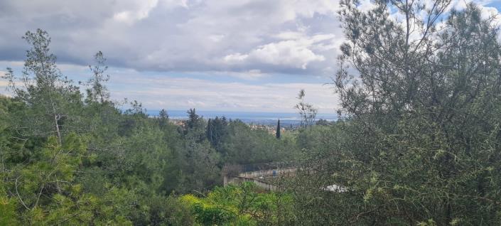 Image No.9-10 Bed Villa for sale