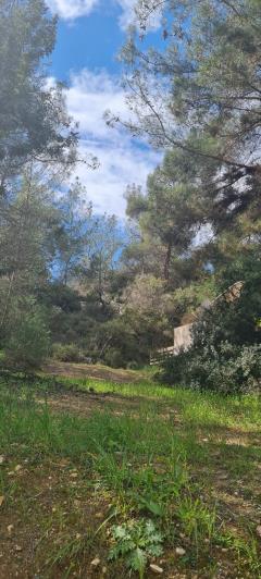 Image No.13-10 Bed Villa for sale