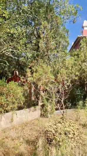 Image No.13-4 Bed Country Property for sale