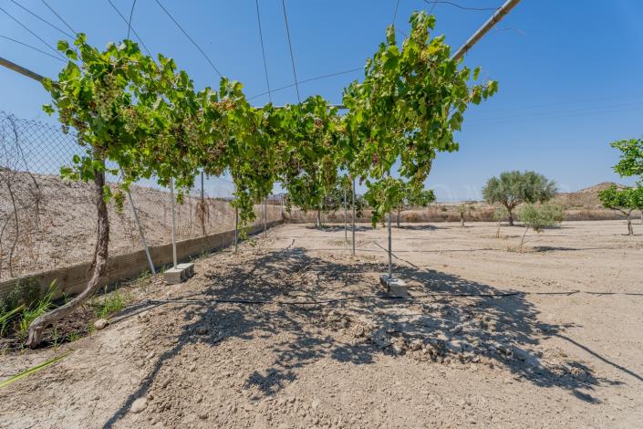 Image No.30-2 Bed Cortijo for sale