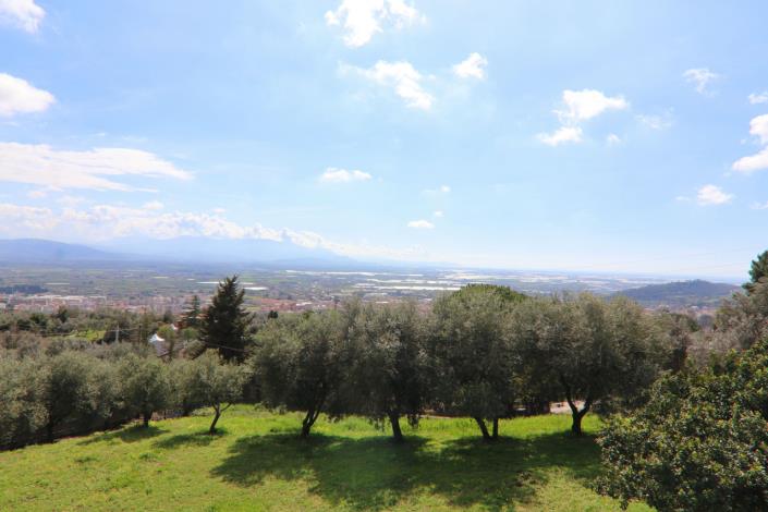 Image No.6-4 Bed Villa for sale