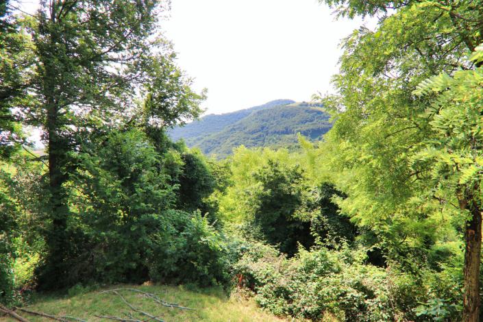 Image No.47-5 Bed Country House for sale