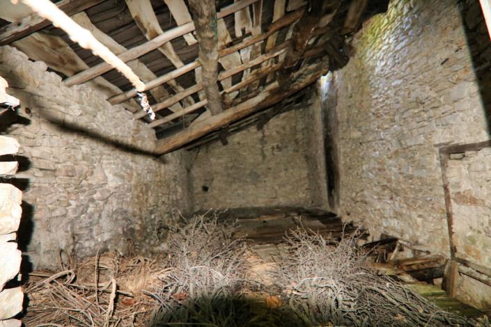 Image No.56-5 Bed Country House for sale