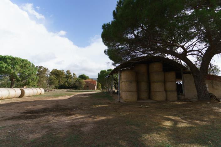 Image No.48-3 Bed Country House for sale