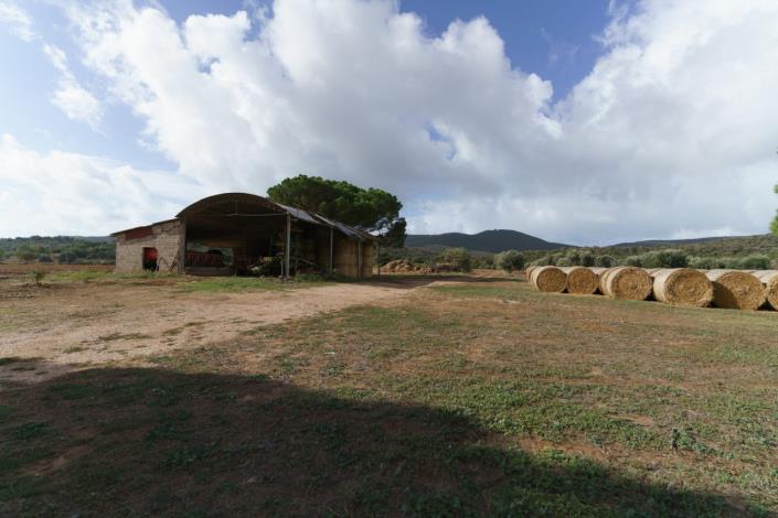 Image No.51-3 Bed Country House for sale