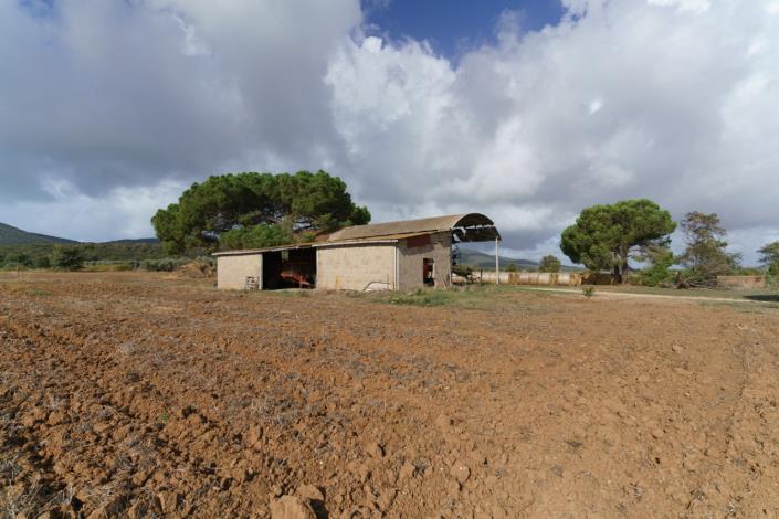 Image No.53-3 Bed Country House for sale