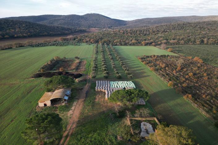 Image No.55-3 Bed Country House for sale