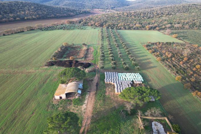 Image No.56-3 Bed Country House for sale