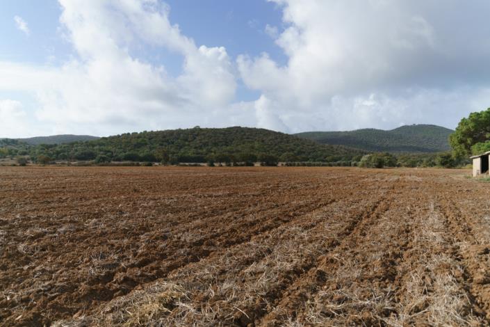 Image No.60-3 Bed Country House for sale