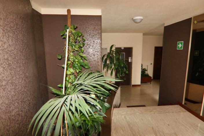 Image No.50-1 Bed Apartment for sale