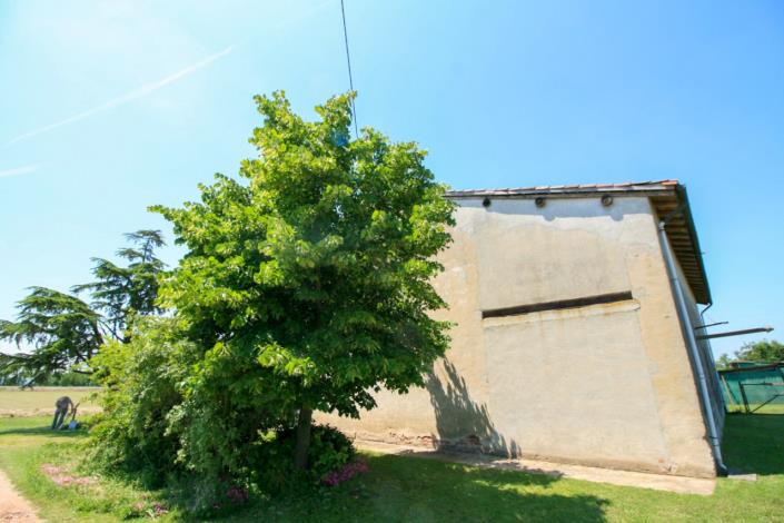 Image No.12-3 Bed Country House for sale