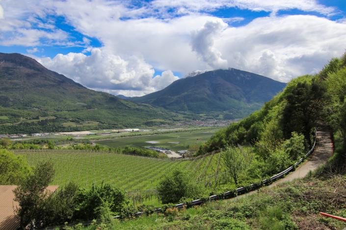 Image No.17-4 Bed House for sale