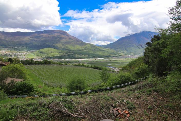 Image No.18-4 Bed House for sale