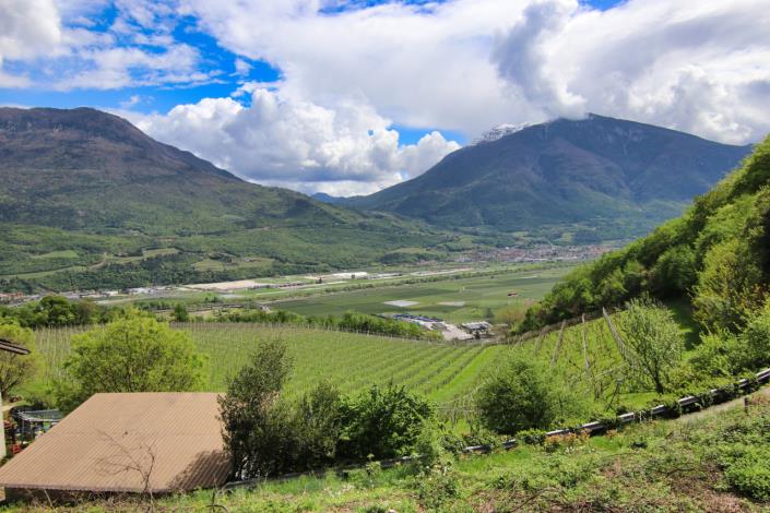 Image No.34-4 Bed House for sale