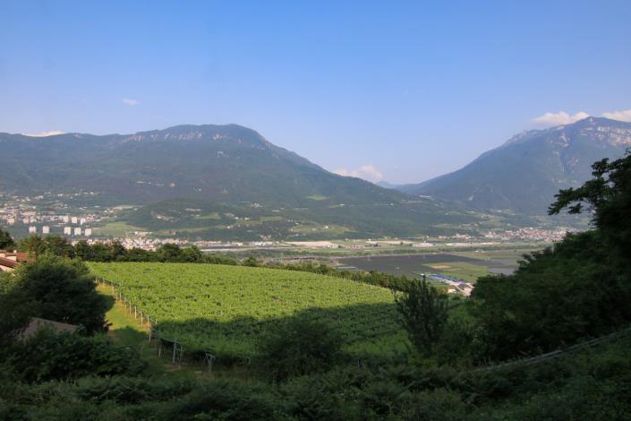 Image No.35-4 Bed House for sale