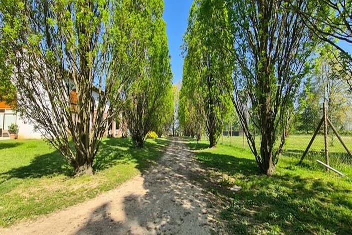 Image No.23-4 Bed Country House for sale