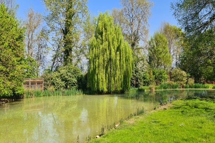 Image No.30-4 Bed Country House for sale