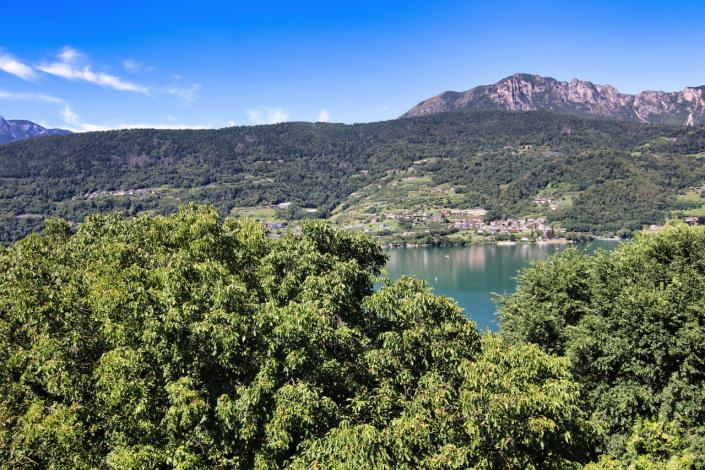 Image No.51-3 Bed Duplex for sale