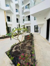 WhatsApp-Image-2024-12-29-at-12-16-28_8d1bd02d