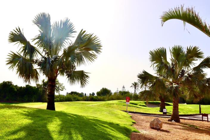 Image No.43-3 Bed Townhouse for sale