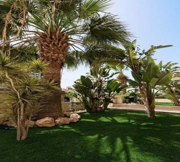 Image No.28-6 Bed Villa for sale