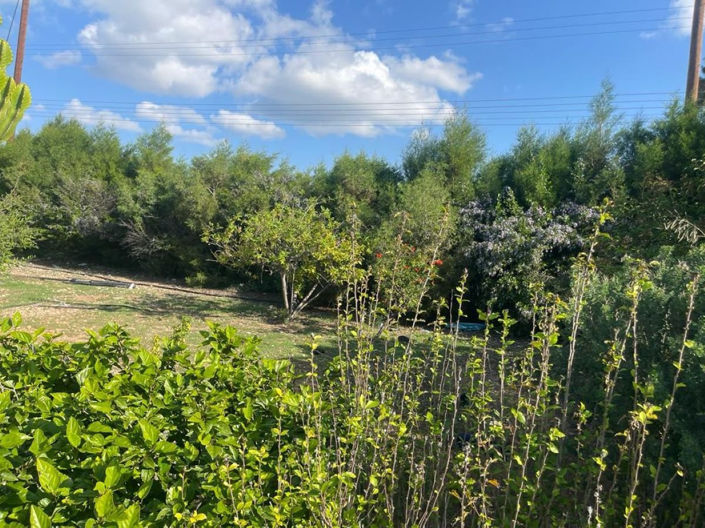 Image No.15-3 Bed Bungalow for sale