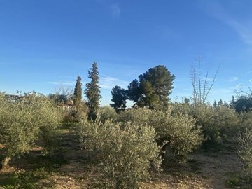 73db76d9524dbfb5e4a1xlarge