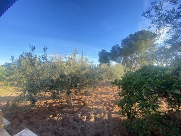 697736dd2bbe1667f495xlarge