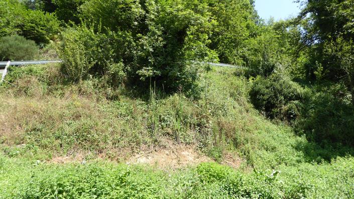 Image No.7-5 Bed Country Property for sale