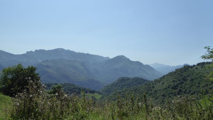 Image No.20-5 Bed Country Property for sale