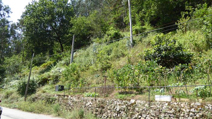 Image No.21-2 Bed Village House for sale