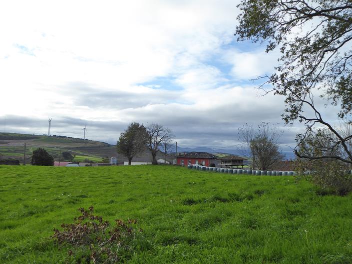 Image No.43-3 Bed Country Property for sale