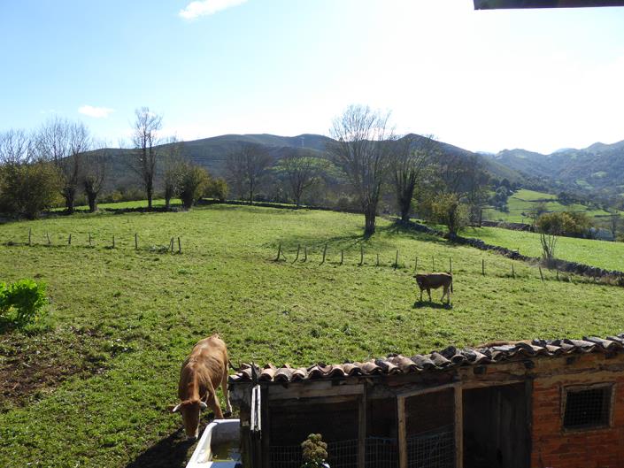 Image No.12-6 Bed Farmhouse for sale