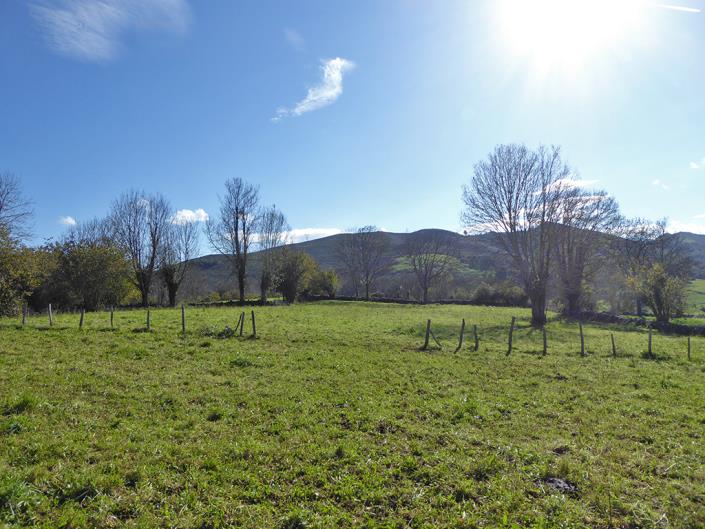 Image No.55-6 Bed Farmhouse for sale