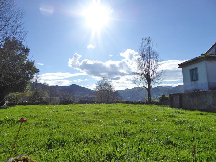 Image No.57-6 Bed Farmhouse for sale